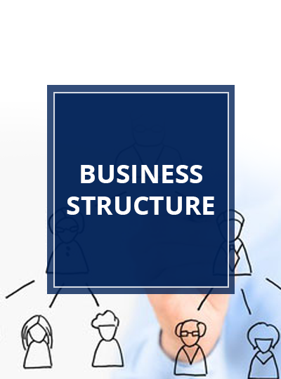 Business Structure